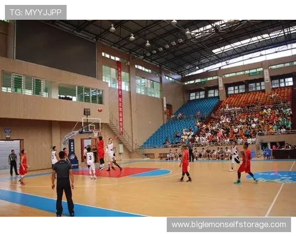 专访吴强：深入探讨排球背后的成功秘诀与团队协作之道