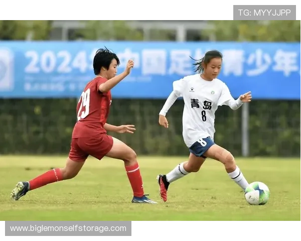 上海足球队在世界锦标赛中的战术分析与表现评估