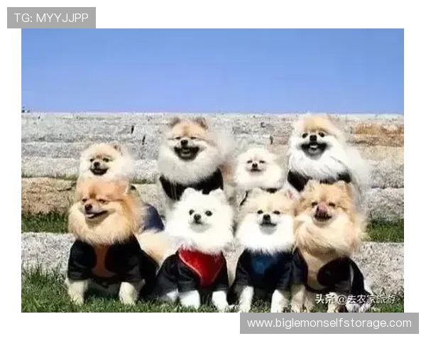 东北足球明星搞笑名字大盘点让你笑到肚子疼的奇葩称号合集