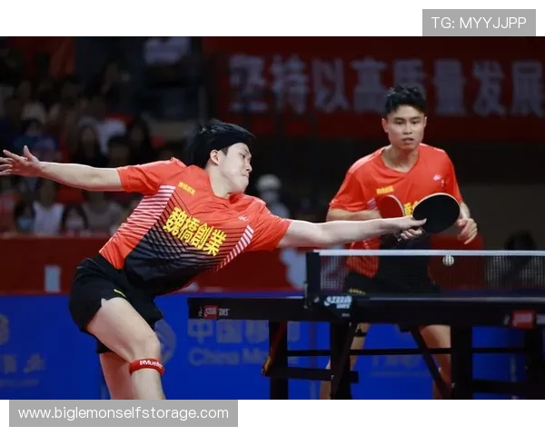 乒乓球的魅力之旅：深入深圳乒乓球队的速度与激情探秘