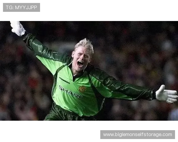 串耳胡足球明星的传奇故事与场上风采全解析