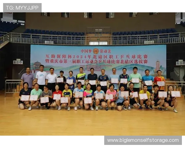 乒乓球巨献：探秘广州乒乓球队的团队协作