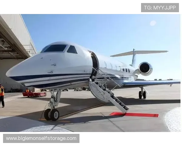 全球足球明星私人飞机奢华排名揭秘你不知道的飞行生活