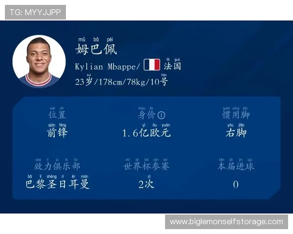 全球足球明星身价排行榜及其背后的市场价值分析