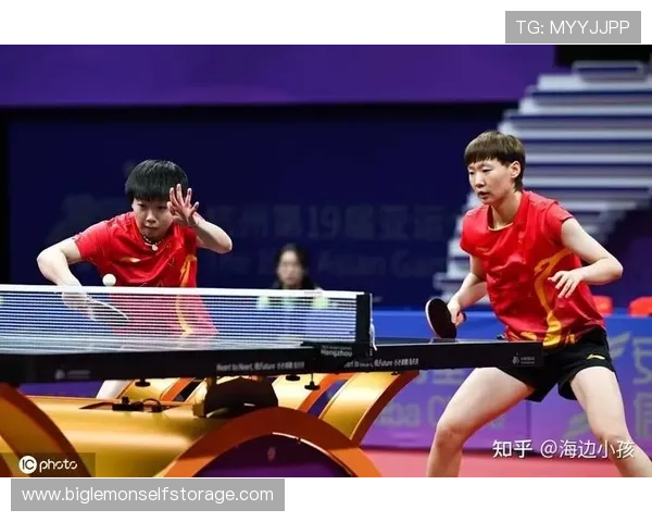 深入探讨杭州排球队不同节奏对比及其对比赛表现的影响分析