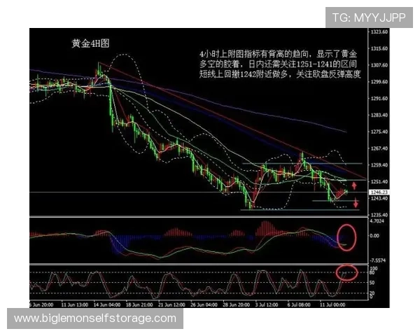 独家解析北京篮球队灵活性与其他球队的全面对比分析