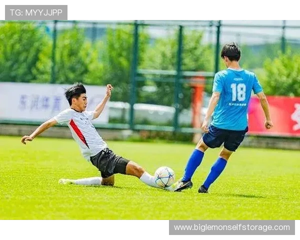 足球明星荣耀时刻举起世界杯展现无尽激情与梦想的巅峰时刻