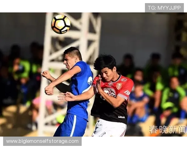 重庆羽毛球队在城市联赛中的团队协作表现分析与点评