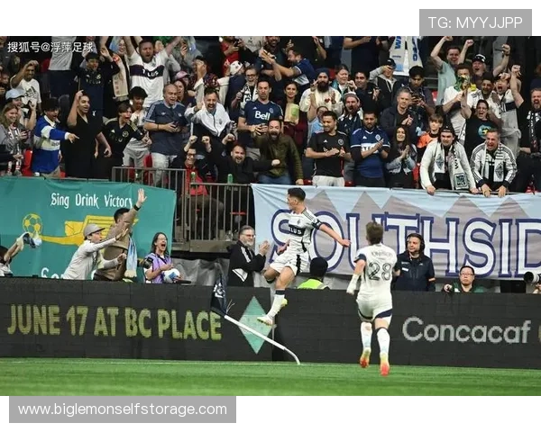 大牌足球明星球迷的激情与追随者心声的碰撞与共鸣