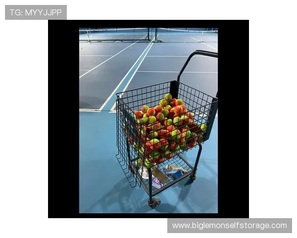 广州网球队的意识提升与发展探讨聚焦网球运动的未来与挑战