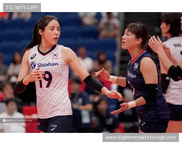 专访李秀英：深入探讨她在排球领域取得成功的秘诀与经验分享