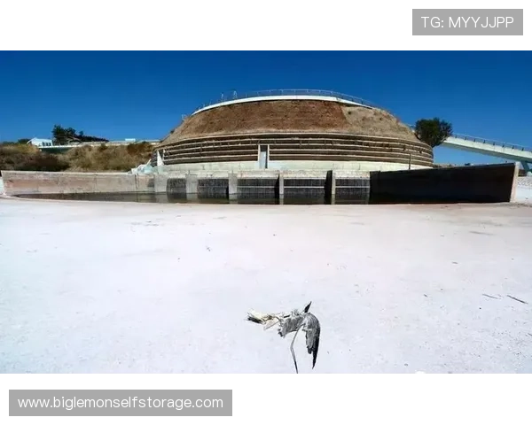 杭州足球队的转型之路:从地方球队到全国冠军的奋斗历程与启示